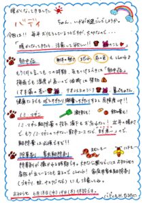 暖かくなってきたら、注意してほしい‼　犬・猫のこと♡